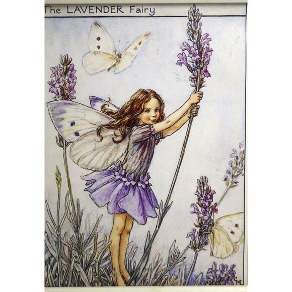 The Lavender Fairy Print Cicely Mary Barker - Picture 5 of 6
